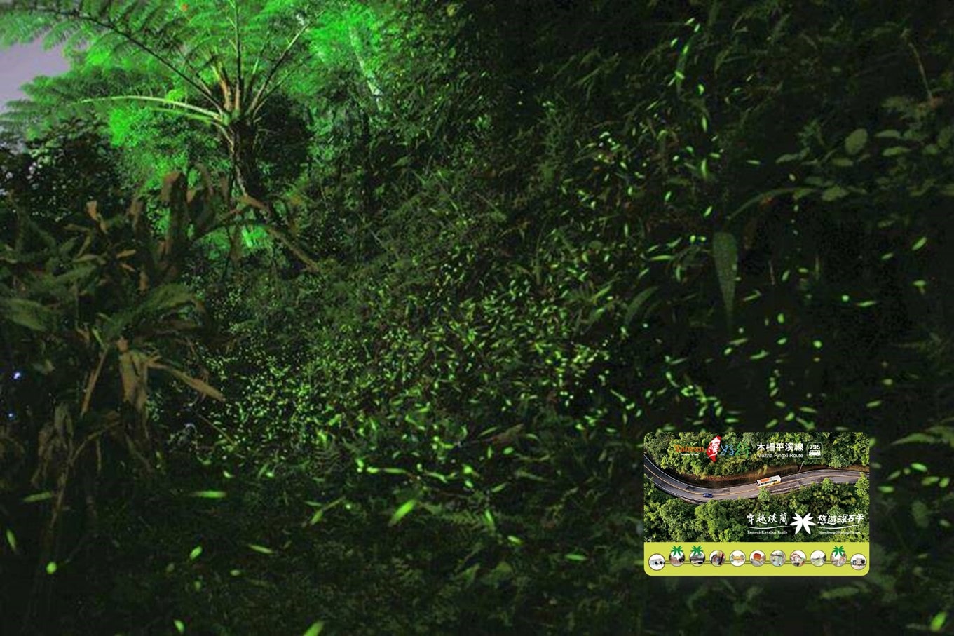 P10-春遊賞螢趣 穿越淡蘭南路茶道與淡蘭中路民道