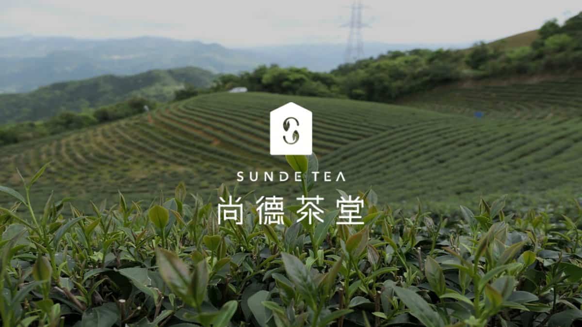尚德茶堂-文山包種茶